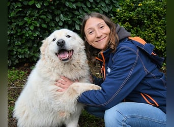 Tallulah - Grandezza auf vier Pfoten!