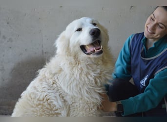 Leverett - Ich sehe was, was du (noch) nicht siehst!