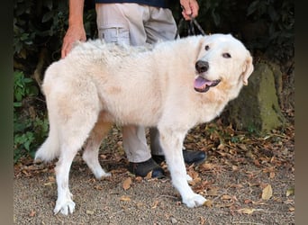 Makeen - es ist die Ohnmacht.....