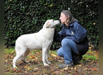 Yasmine - freundlicher Sonnenschein sucht sonniges Plätzchen