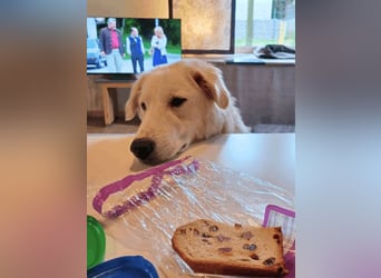 Tonia - eine sanfte Seele mit Flausen im Kopf