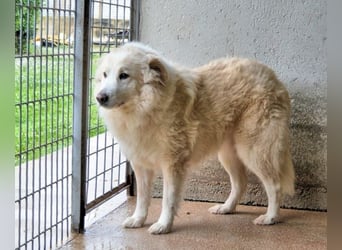 Olivielle- Junge Dame im Bärenmantel