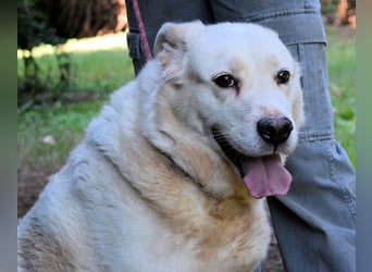 Zipper - Ein vergeudetes Leben