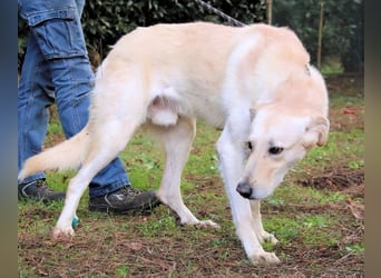 Yannick - eine zweite Kindheit?