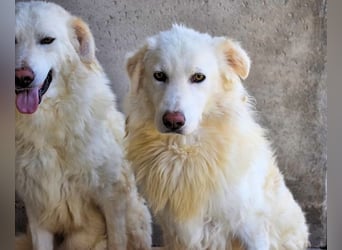 Fredrik - Was nach der Trennung kommt