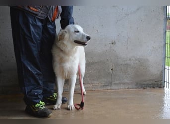 Meriwa - Doch nur wieder ein Kurzbesuch.....