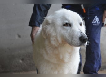 Rosvielle - Auf einer Skala von 1 bis 10....