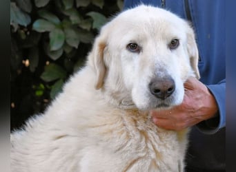 Makeen - es ist die Ohnmacht.....