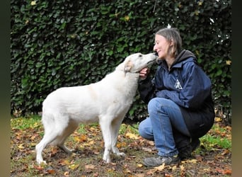 Yasmine - freundlicher Sonnenschein sucht sonniges Plätzchen