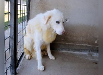 Fredrik - Was nach der Trennung kommt