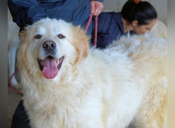 Skilah - Wenn Niemand zu Jemand wird
