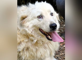 Archimede - sucht freundliche Aufnahme