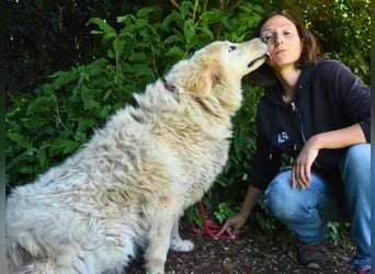 Filomela - Vom Sorgenkind zum Sonnenschein