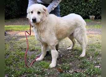 Quilmar - Was werden sie erzählen?