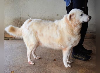 Sallustio - Der Sinn des Lebens