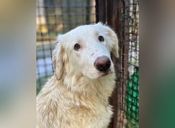 Stardust - Von der Erde zum Mond und zurück....