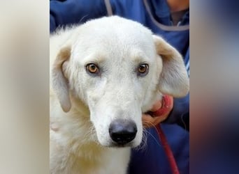 Damarius - niemals ist eine schrecklich lange Zeit