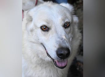 Yasmine - freundlicher Sonnenschein sucht sonniges Plätzchen