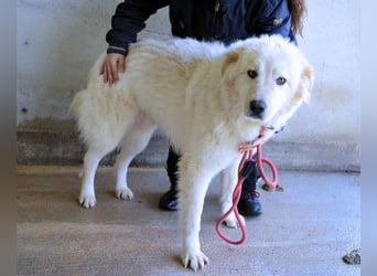 Skilah - Wenn Niemand zu Jemand wird