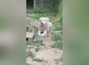 Sindbad - Zwischen Vorsicht und Vertrauen