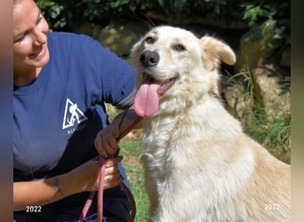 Antiloco - Nur ein Wunsch: endlich nach Hause!