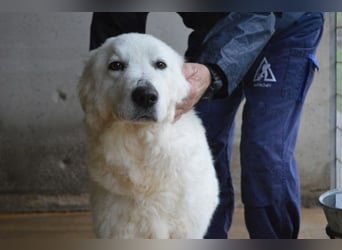 Rosvielle - Auf einer Skala von 1 bis 10....