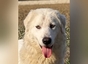 Madea - in ihrer ganzen Schönheit