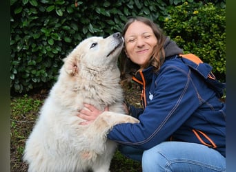 Tallulah - Grandezza auf vier Pfoten!