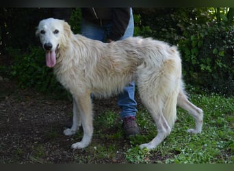 Isana - Wo ist mein neues Leben?