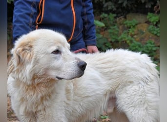 Apolonio - möchte für seine Menschen ein Fels in der Brandung sein