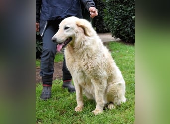 Filomela - Vom Sorgenkind zum Sonnenschein