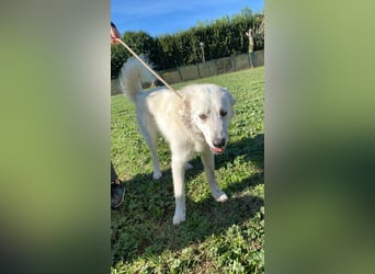 Mira - eine weiße Herzensbrecherin und ihre drei Schwestern