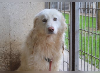 Fredrik - Was nach der Trennung kommt