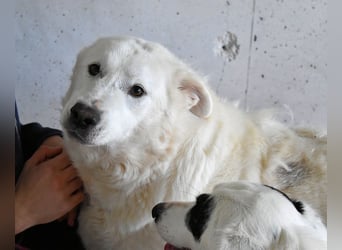 Sallustio - Der Sinn des Lebens