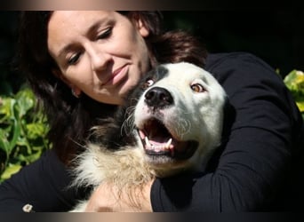 Mathis - mit dem treuen Blick