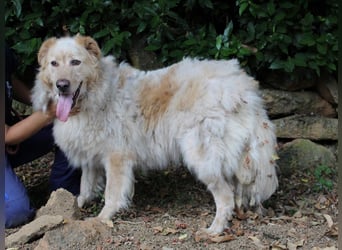 Paolo - Oh, huch, wow!!!