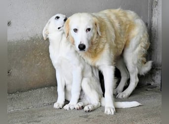 Benilda - Familiemutter in Not