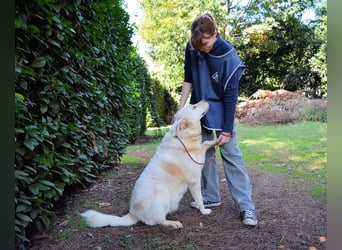 Zipper - Ein vergeudetes Leben