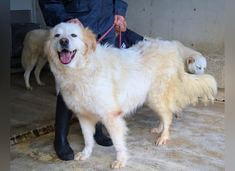 Skilah - Wenn Niemand zu Jemand wird