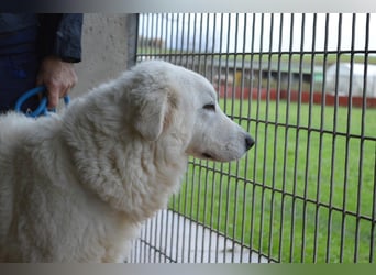 Rosvielle - Auf einer Skala von 1 bis 10....
