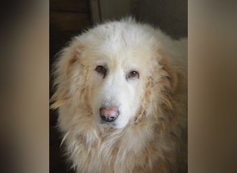 Atheron - Das Ehemaligentreffen