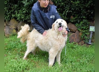 Filomela - Vom Sorgenkind zum Sonnenschein