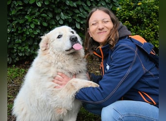 Tallulah - Grandezza auf vier Pfoten!