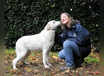 Yasmine - freundlicher Sonnenschein sucht sonniges Plätzchen