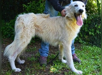 Isana - Wo ist mein neues Leben?