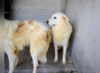 Fredrik - Für immer zusammen?