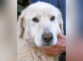 Makeen - es ist die Ohnmacht.....