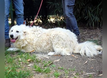 Archimede - sucht freundliche Aufnahme