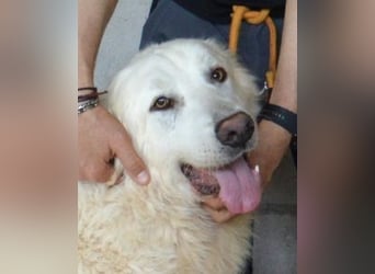 Quebry - Es ist, was es ist...