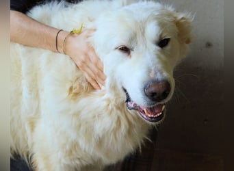 Leverett - Ich sehe was, was du (noch) nicht siehst!